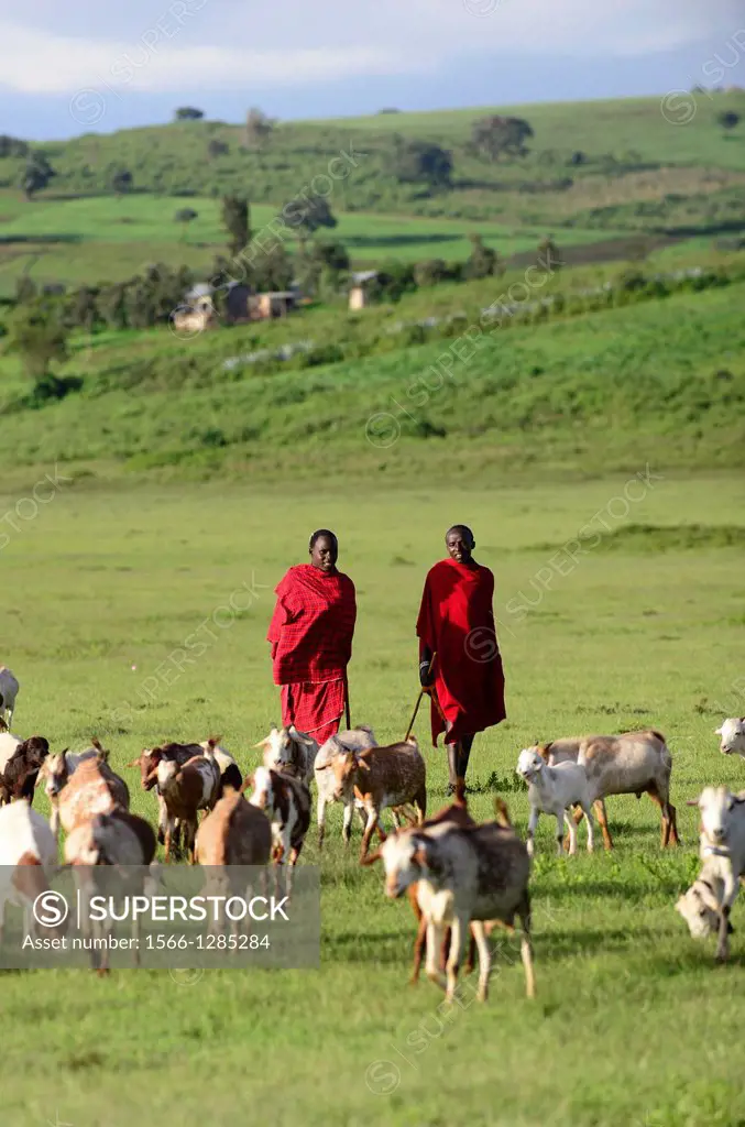Masai in Tanzania.