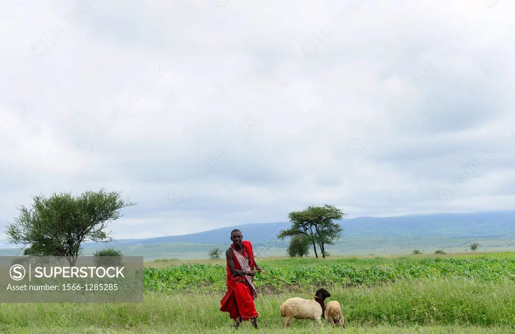 Masai in Tanzania.