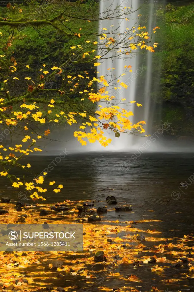 South Falls, Silver Falls State Park, Oregon.