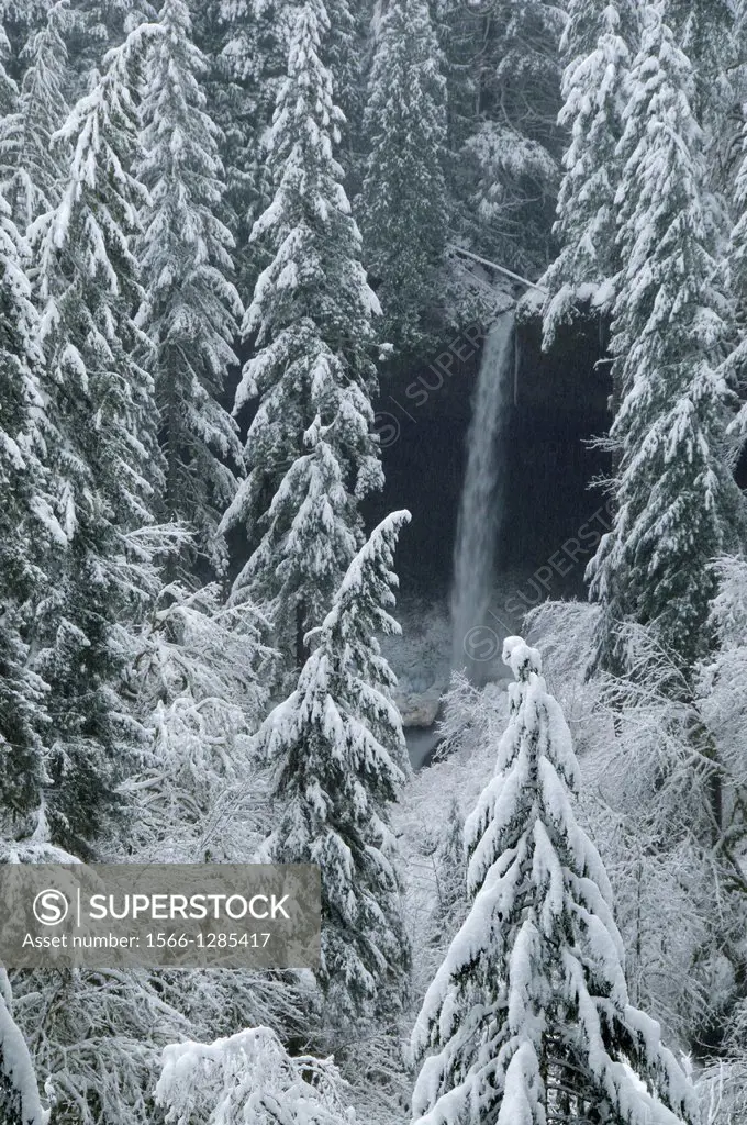 North Falls with snow, Silver Falls State Park, Oregon.