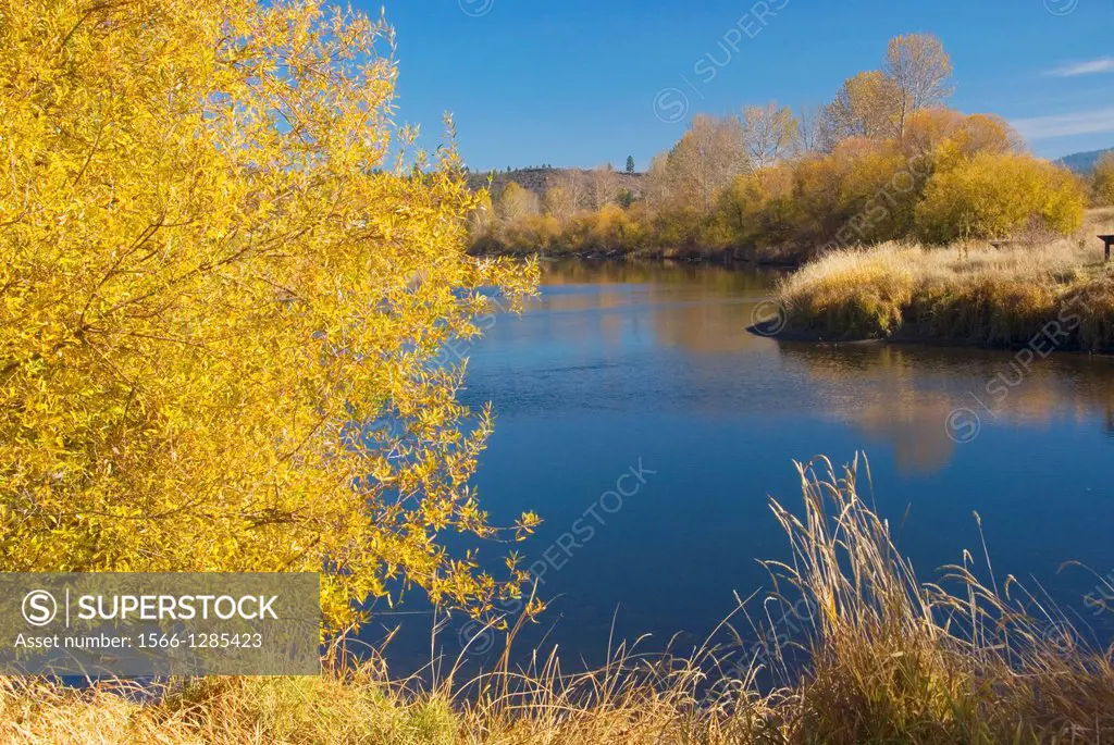 Wood River, Wood River Wetland, Klamath Falls District Bureau of Land Management, Oregon.