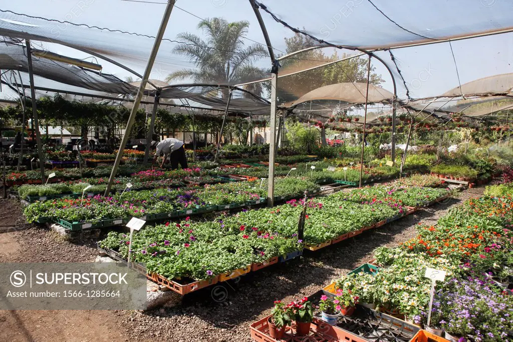 Garden Nursery. Natanya, Israel