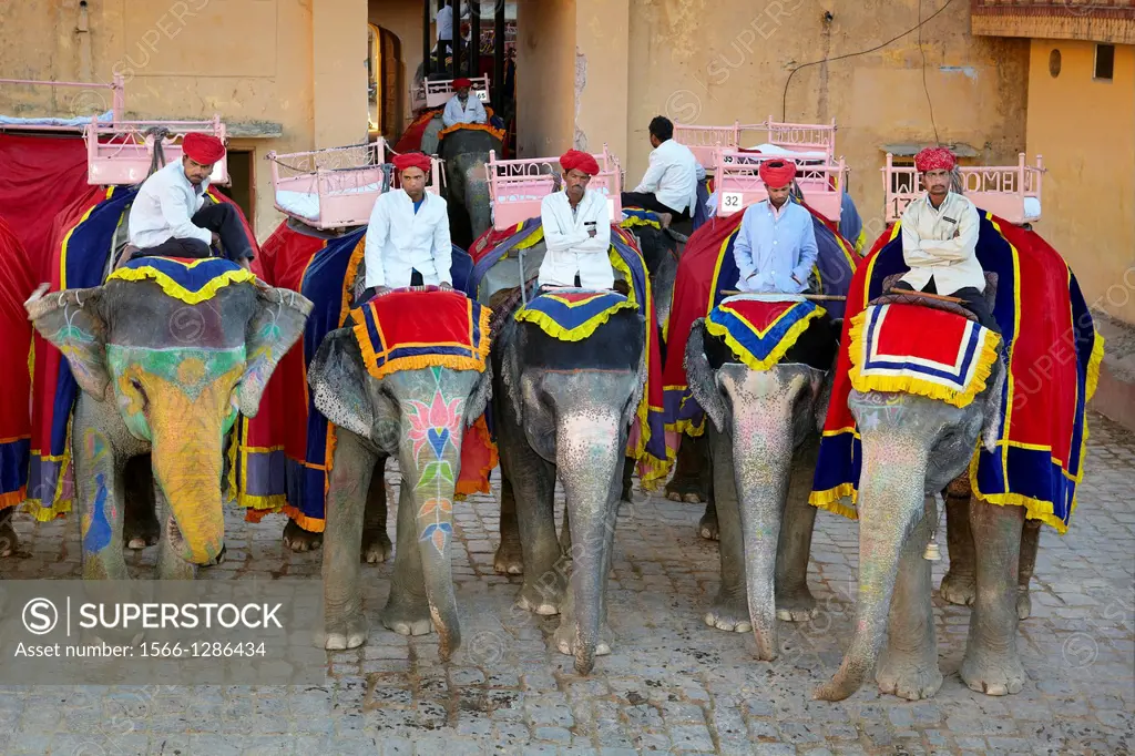 Elephants waiting for tourists to carrying them up to the Amber Fort Amber Palace, Amer 11km from Jaipur, Rajasthan, India.