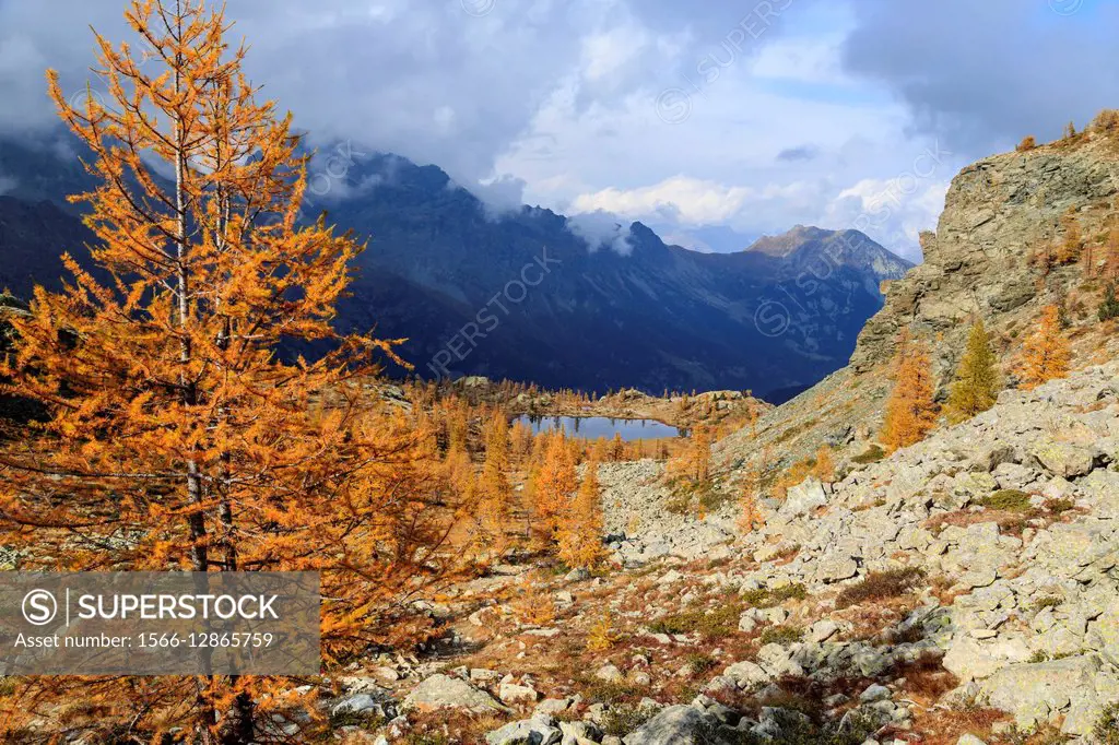 Autumn landscape at the Natural Park of Mont Avic. Aosta Valley. Graian Alps. Italy. Europe.