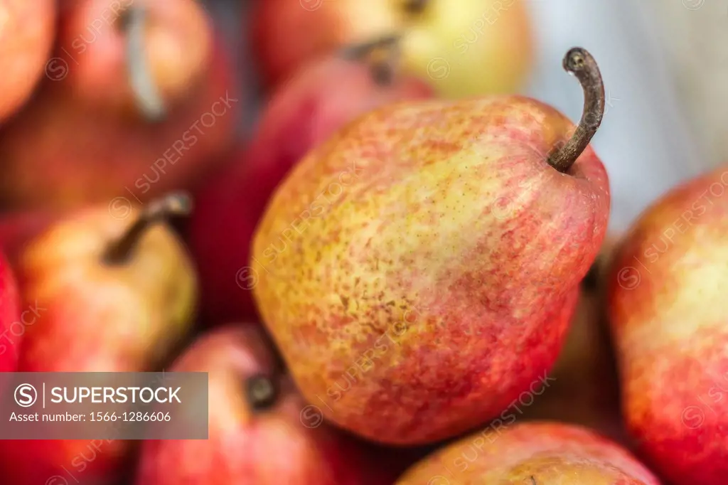 Photos of some pears