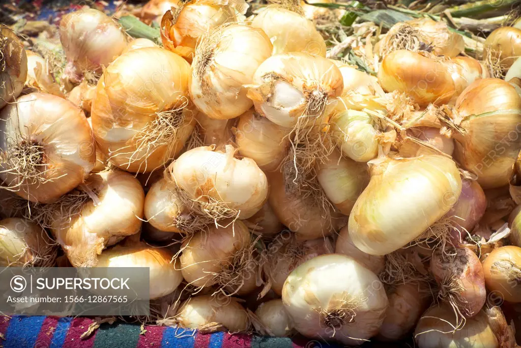 Closeup of organic onions at a street market in the medina of Meknes, Morocco, Africa