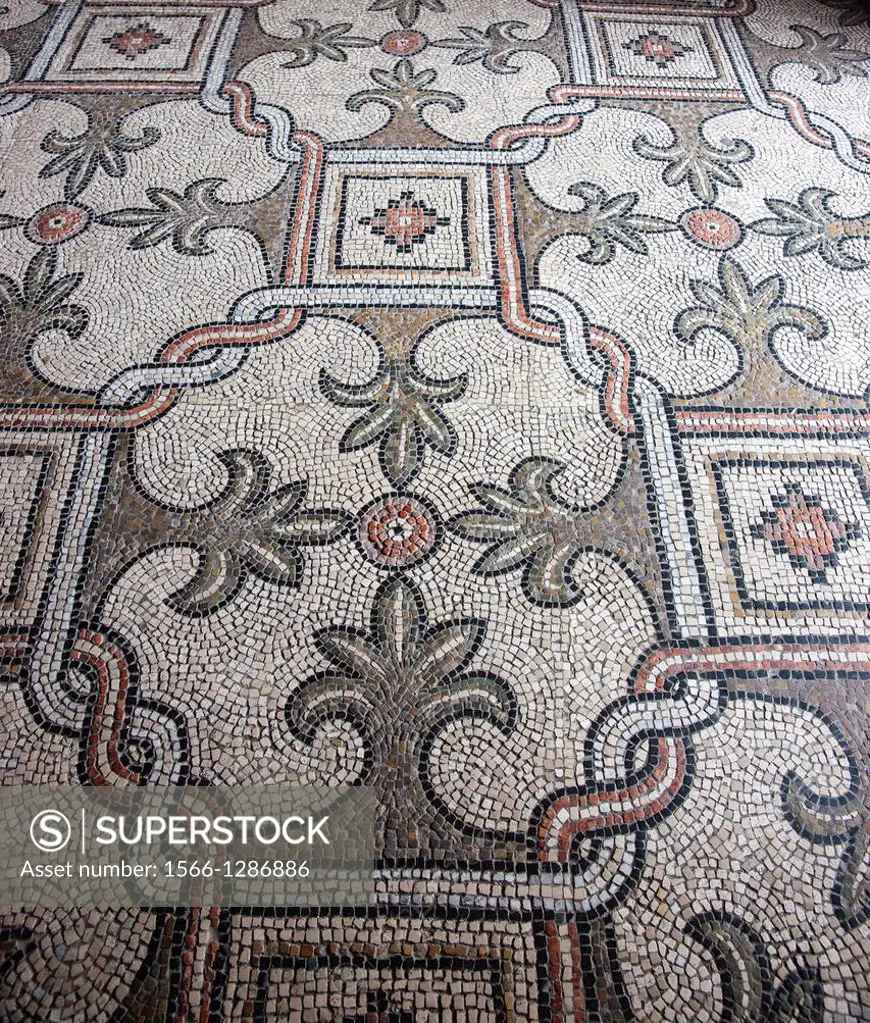 floor mosaics, Basilica of San Vitale Italy,.