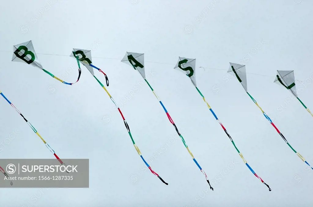 Sío Roque, Sío Paulo, Brazil, Brasil’ kites at the Festival das Cerejeiras, a annual event of the immigrants of Japanese origins