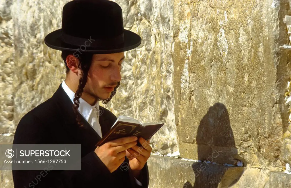 jew reading the Tora at the Wall in Jerusalem, Israel