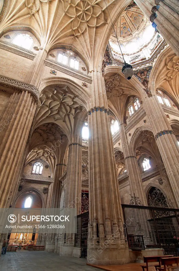 New Cathedral - interior, 16th century, Salamanca, Region of Castilla y Leon, Spain, Europe.