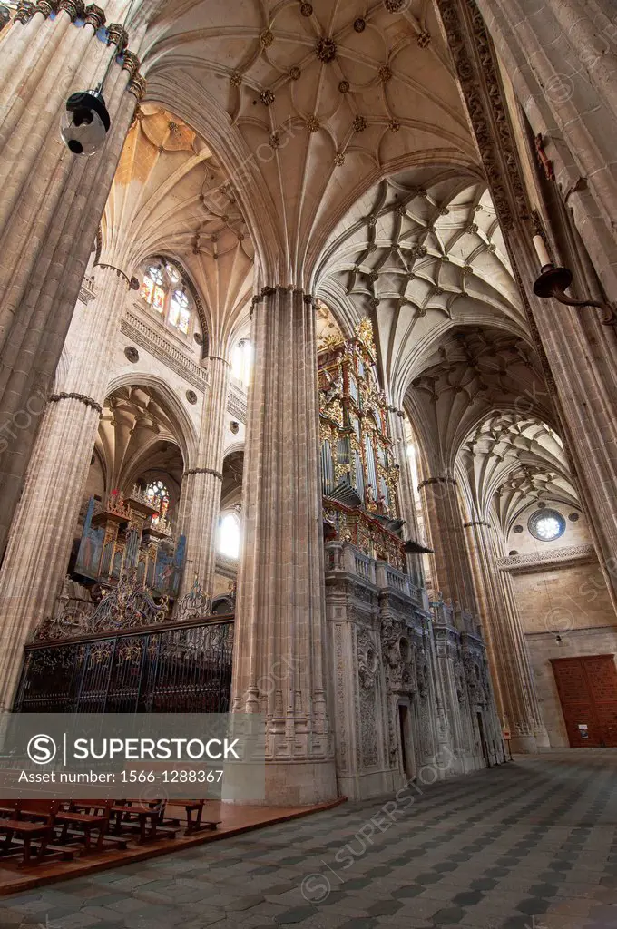 New Cathedral - interior, 16th century, Salamanca, Region of Castilla y Leon, Spain, Europe.