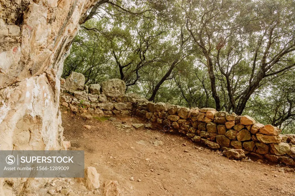 Wrap site are rocky Matge discovered by William Waldren in 1968, S´Estret of Valldemossa, municipality of Valldemossa, pretalayotic time 5000-2700 a. ...