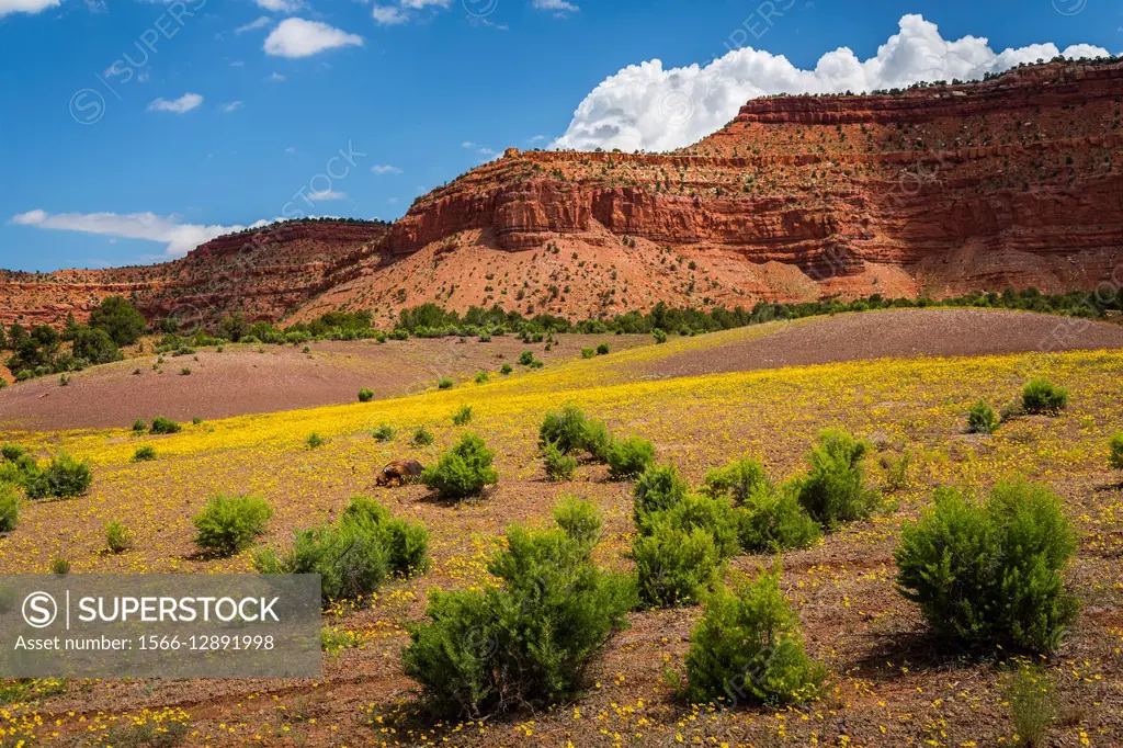 USA, Utah, Canyonlands National Park, Landscape with layered red rock formations