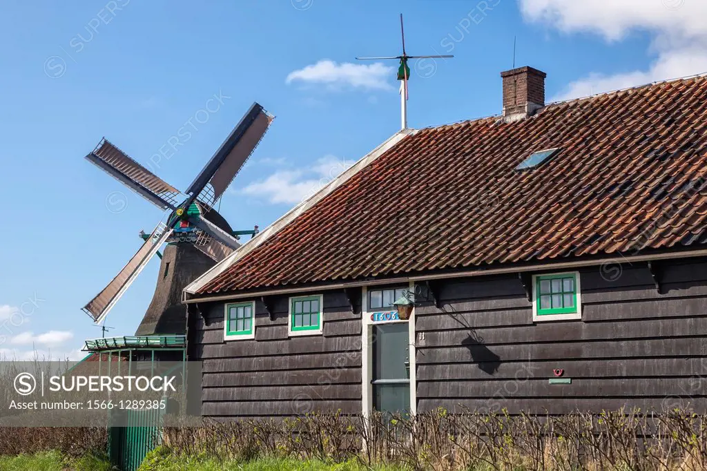 windmill in Zaanse Schans, Zaandam, North Holland, Netherlands.