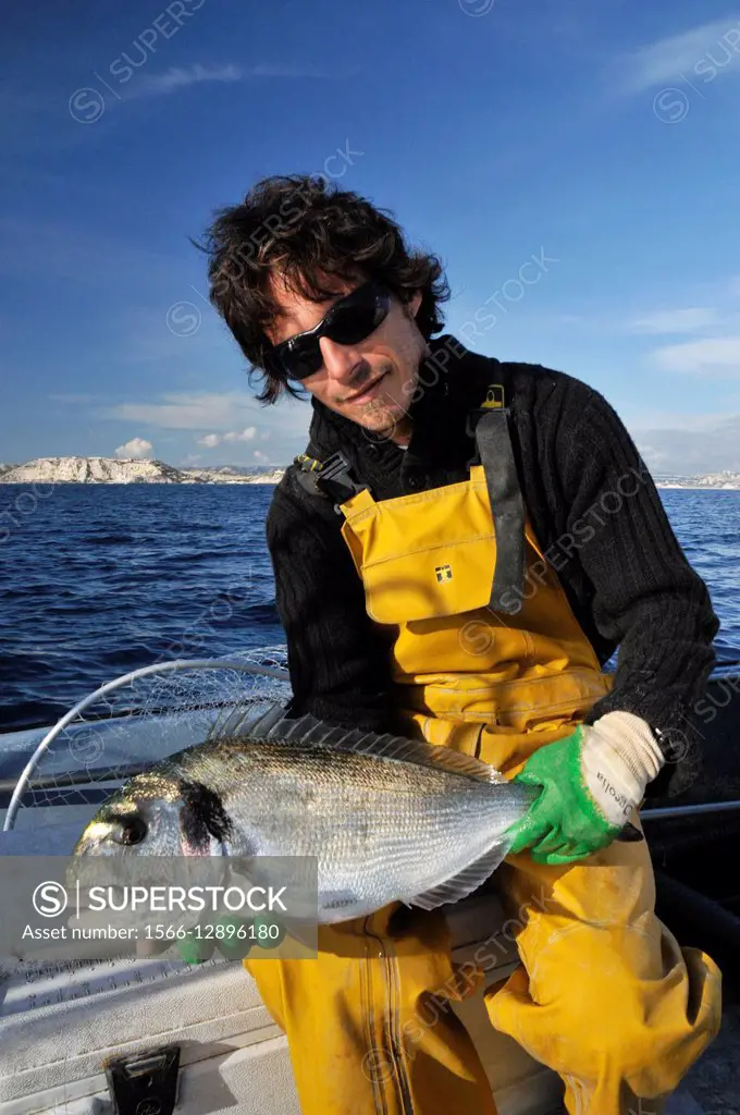 Fisherman holding a beautiful seabream in Marseille, France. Sparus aurata.