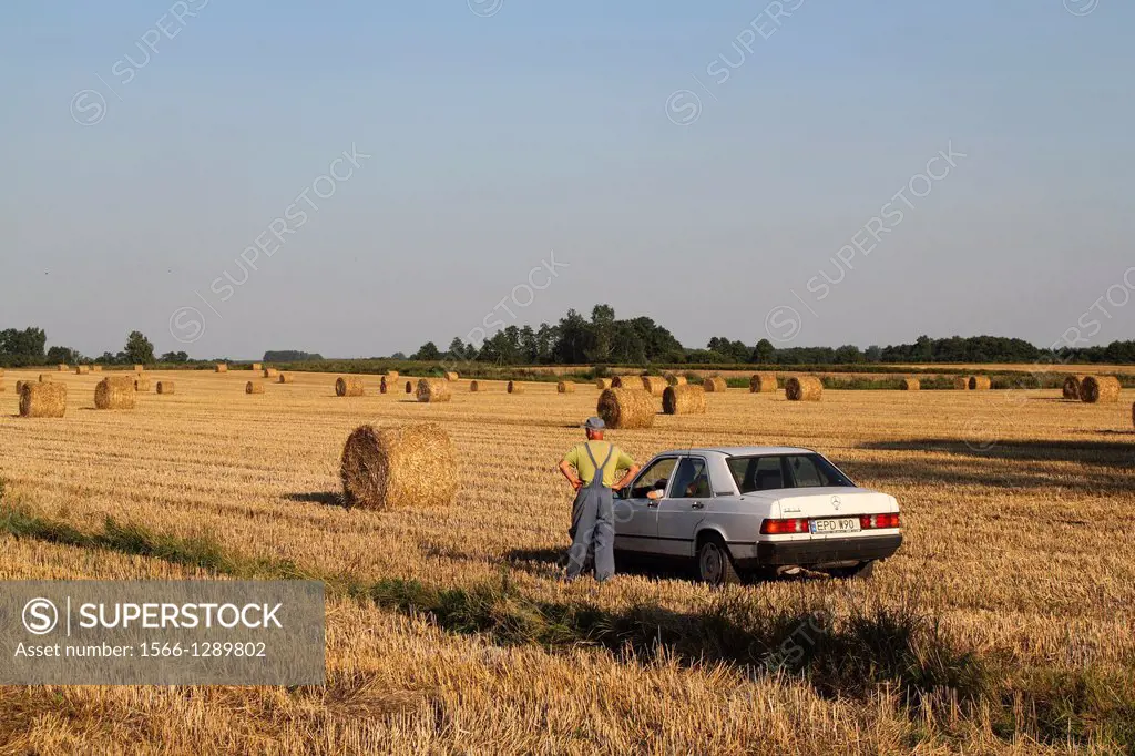 Car on corn field, Greater Poland
