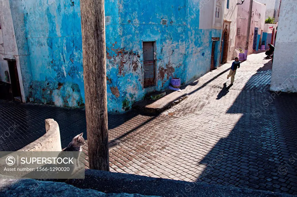 Street scene in Azemmour medina, Morocco.