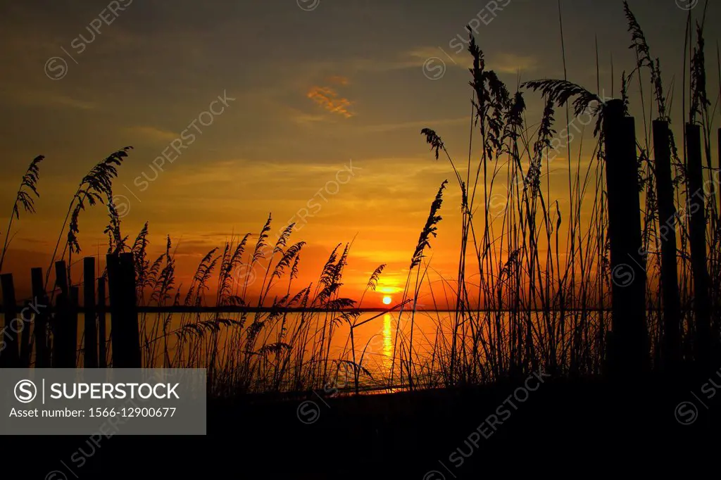 The sun sets between sea oats and sand fencing over Amelia Sound, Fernandina Beach, Florida.