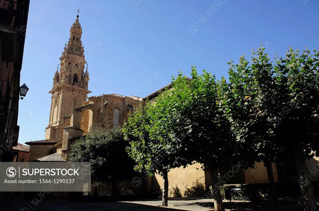 Cathedral. Santo Domingo de la Calzada, La Rioja, Spain.