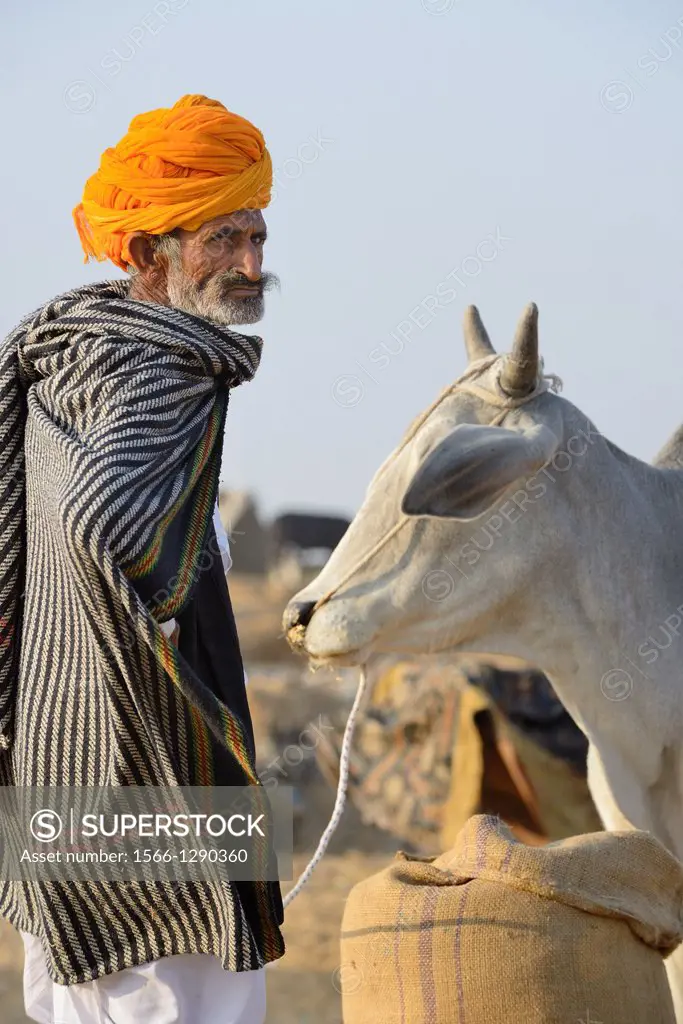 India, Rajasthan, Pushkar fair, Cattleman.