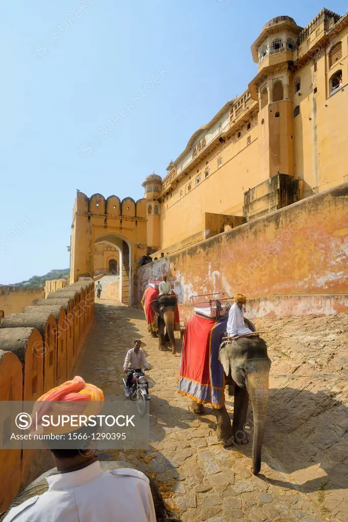 India, Rajasthan, Amber fort, Mahouts on elephant back.