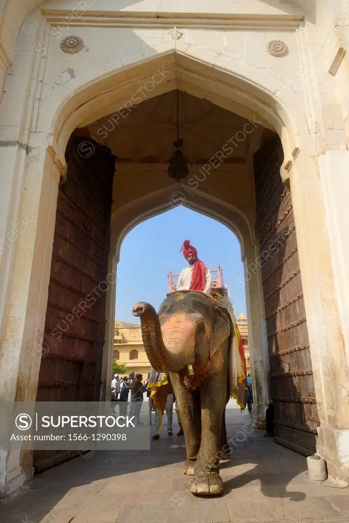 India, Rajasthan, Amber fort, Mahout on elephant back.