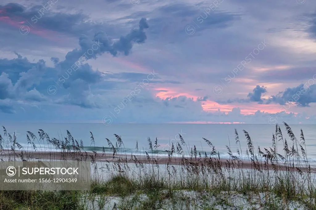 Sea oats frame a subtle sunrise along Amelia Island´s coast.