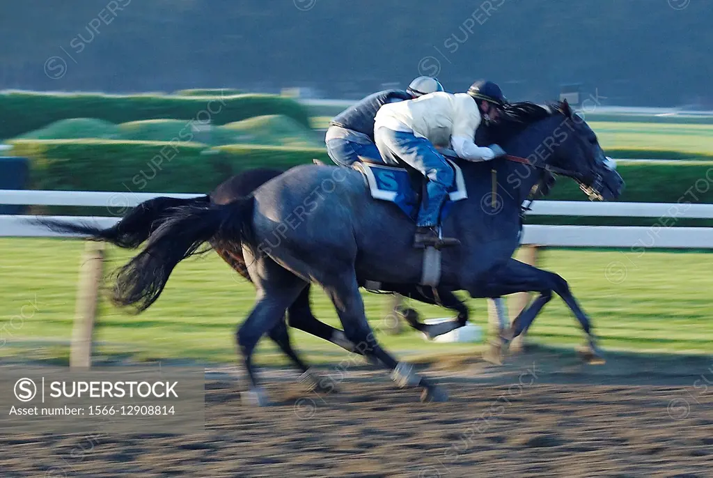 Horse racing, Saratoga