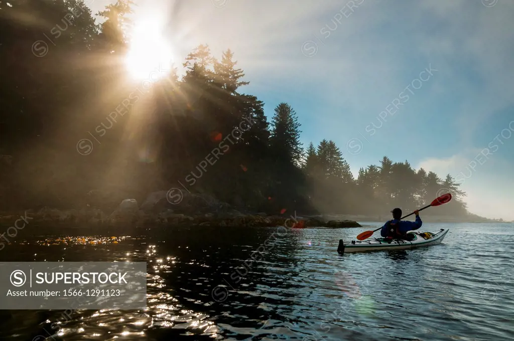 Canada, BC, Vancouver Island. Broken Island Group, part of the Pacific Rim National Park on the Pacific coast. Man paddles his kayak past the shore of...