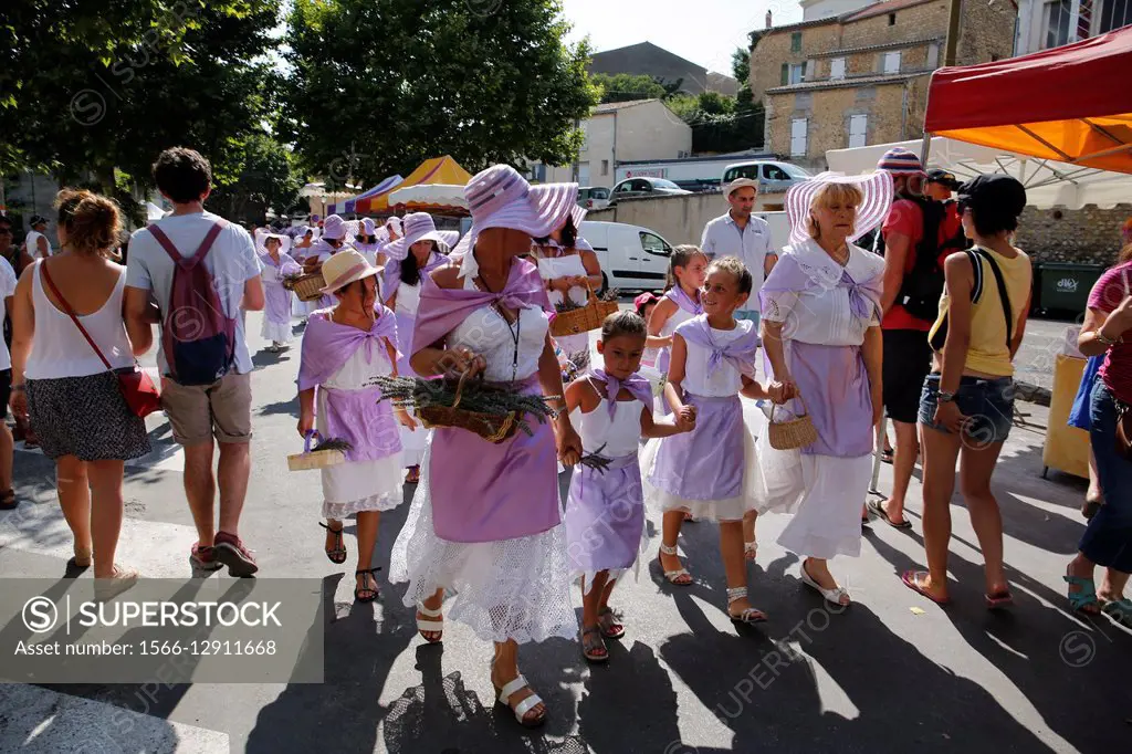 France, Provence, Alpes de Haute-Provence (04), Valensole Plateau, Valensole during the july lavander festival after completion of the crop.