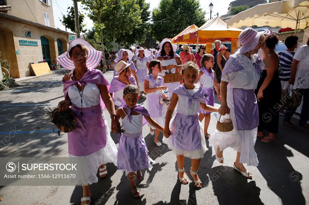 France, Provence, Alpes de Haute-Provence (04), Valensole Plateau, Valensole during the july lavander festival after completion of the crop.