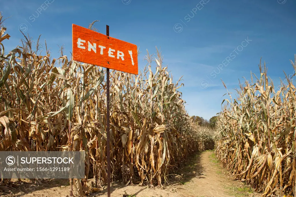 ENTRANCE CORN MAZE WEXFORD ALLEGHENY COUNTY PENNSYLVANIA USA.