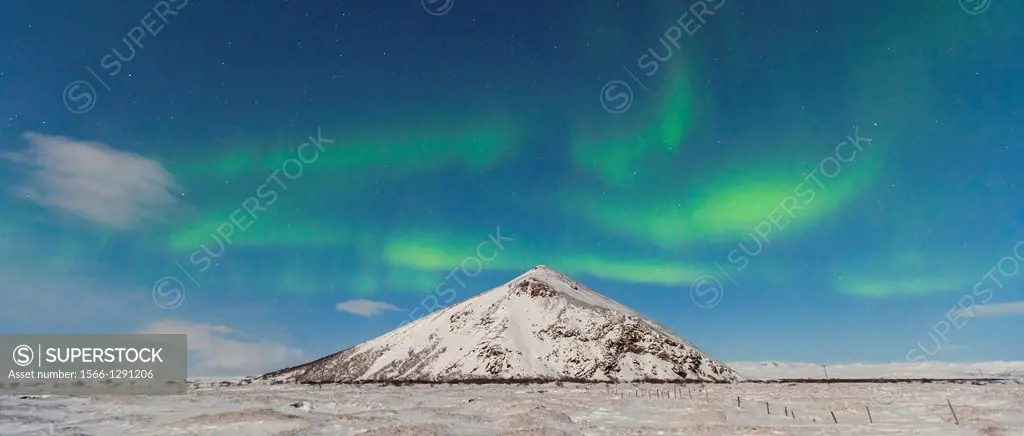 Northern lights, Myvatn, North Iceland, Iceland, Europe.