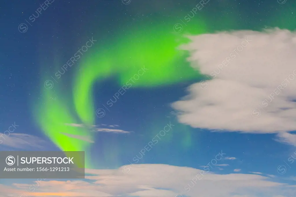 Northern lights, Myvatn, North Iceland, Iceland, Europe.
