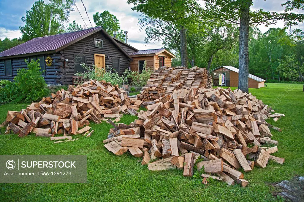 Small cabin in northern NH with pile of dried, hardwood, firewood dumped on the lawn, ready to be stacked and used to heat the house, USA