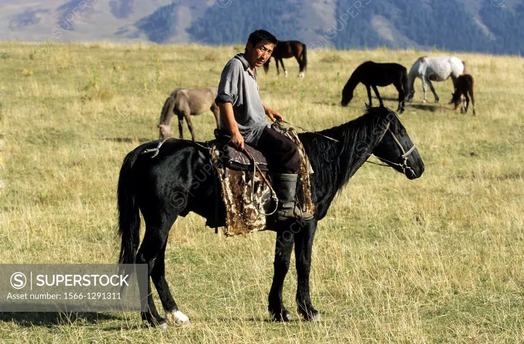 Kyrgyz Rider; Mountains; Local People; guarded the Horses.