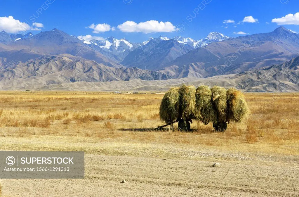 Hay Cart; in the Mountains of Kyrgyzstan.