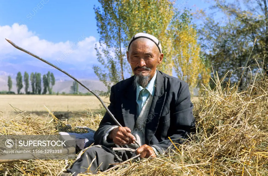 Issyk Kul Lake; Kyrgyzstan; Harvest, old man on a horse cart.