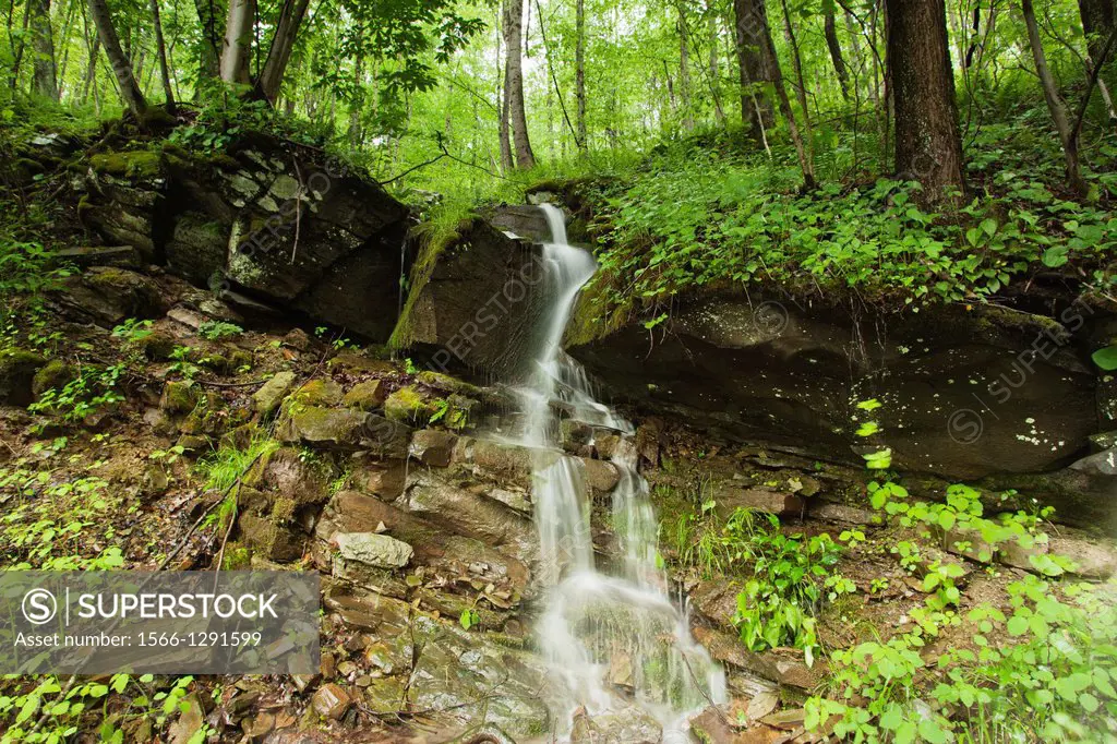 Springtime Torrent Waterfall Blackwater Falls State Park West Virginia Usa.