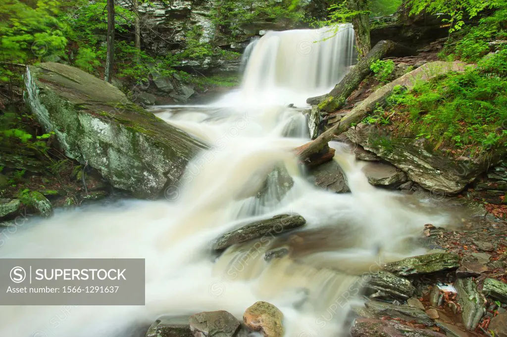 Springtime Torrent B Reynolds Waterfall Kitchen Creek Ricketts Glen State Park Luzerne County Pennsylvania Usa.