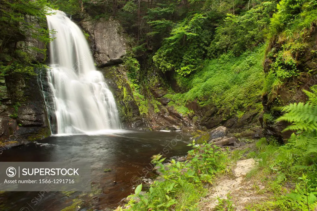 Main Waterfalls Bushkill Falls Theme Park Bushkill Creek Pike County Pennsylvania Usa.