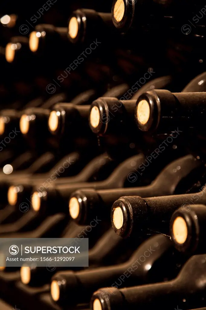 Wine cellar in La Rioja, Spain, Europe.
