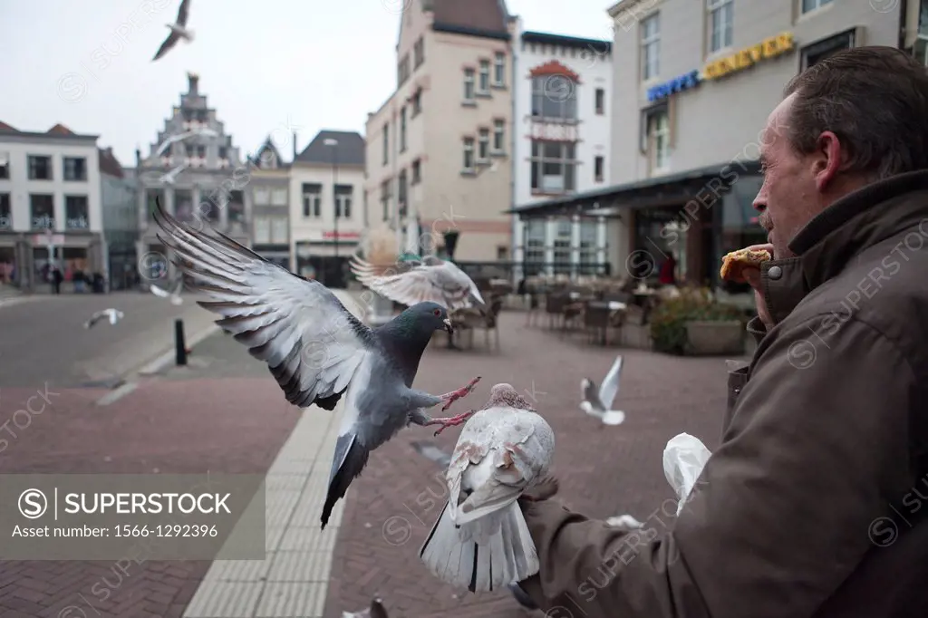 feeding pigeons in Dordrecht, Holland.