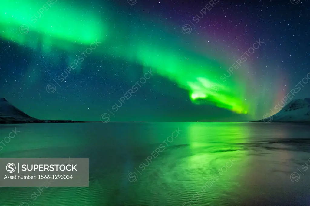 Aurora Borealis or Northern Lights, Iceland.