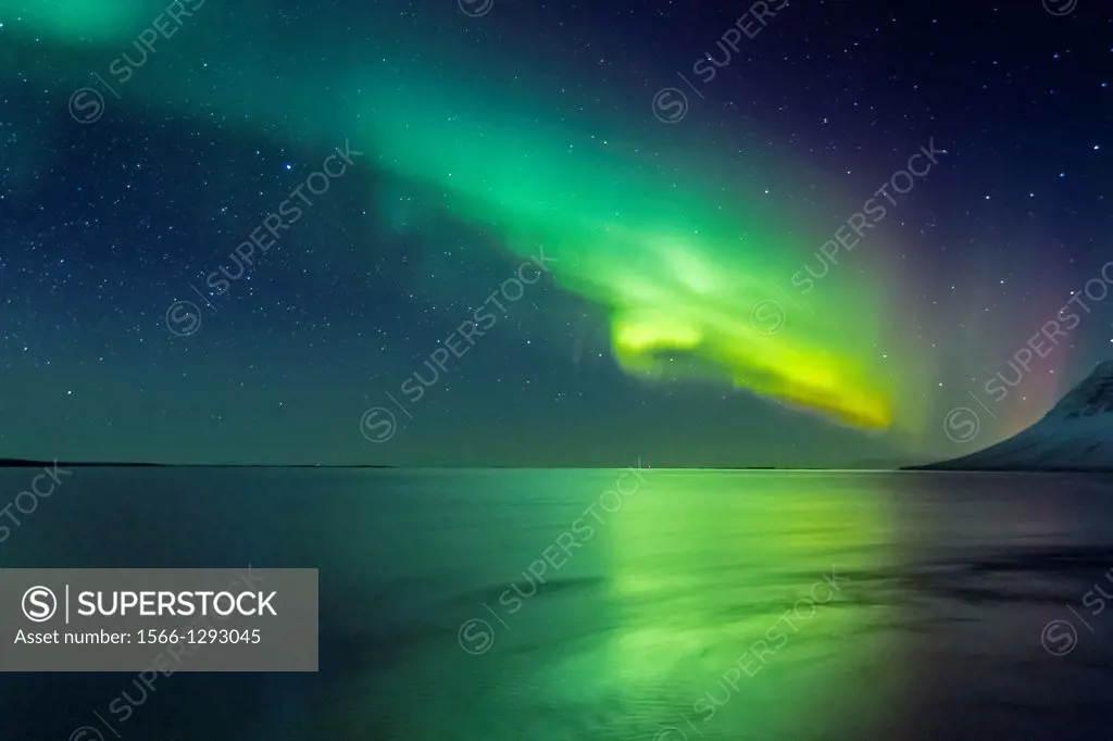 Aurora Borealis or Northern Lights, Iceland.