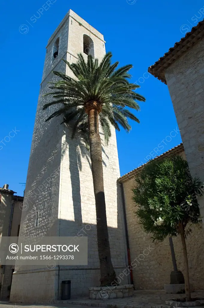Saint Paul; Bell Tower; Palmtree at Clock Tower; Provence; France.