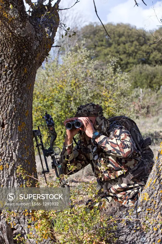 Spain , Castilla La Mancha , surroundings of Guadalajara , Bow hunting , compound bow , observation with binoculars.