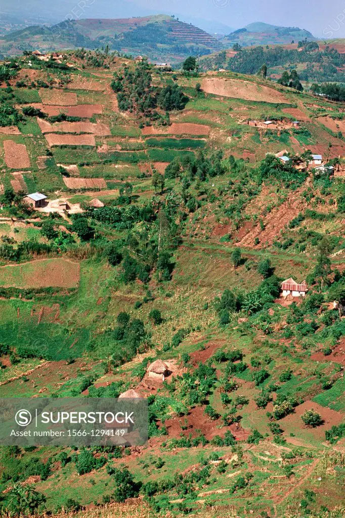 Landscape; Kigezi District; Uganda.