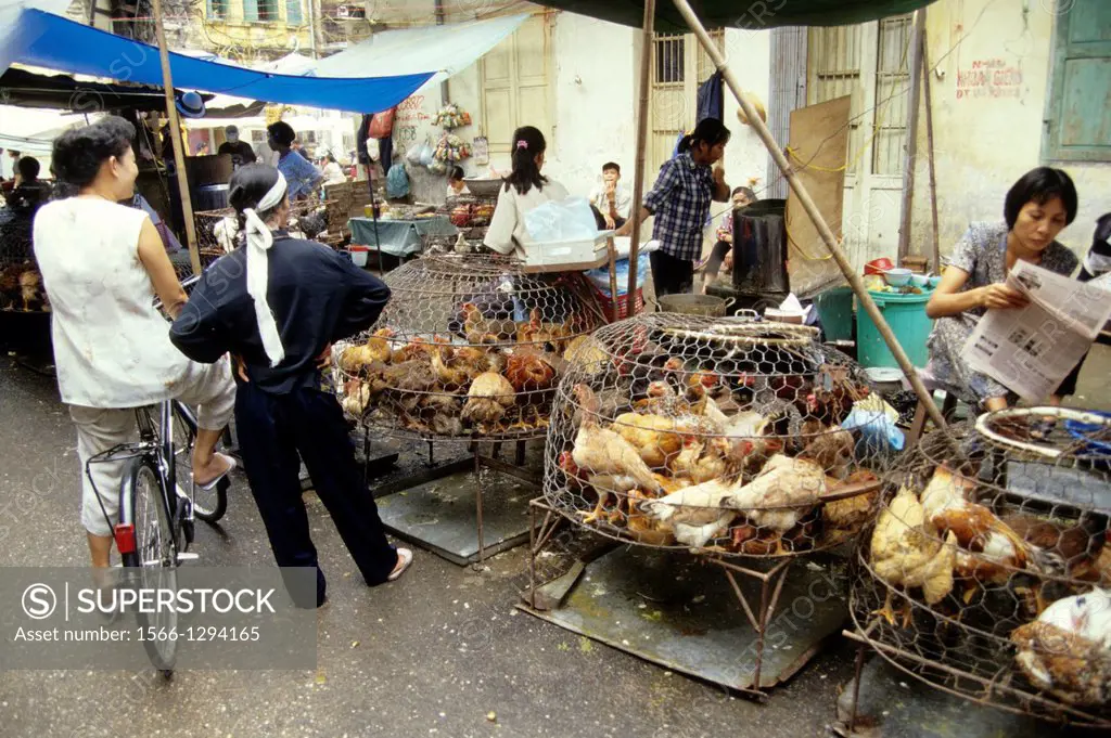 Hanoi; Market; Chicken; Animal Market; Vietnam.