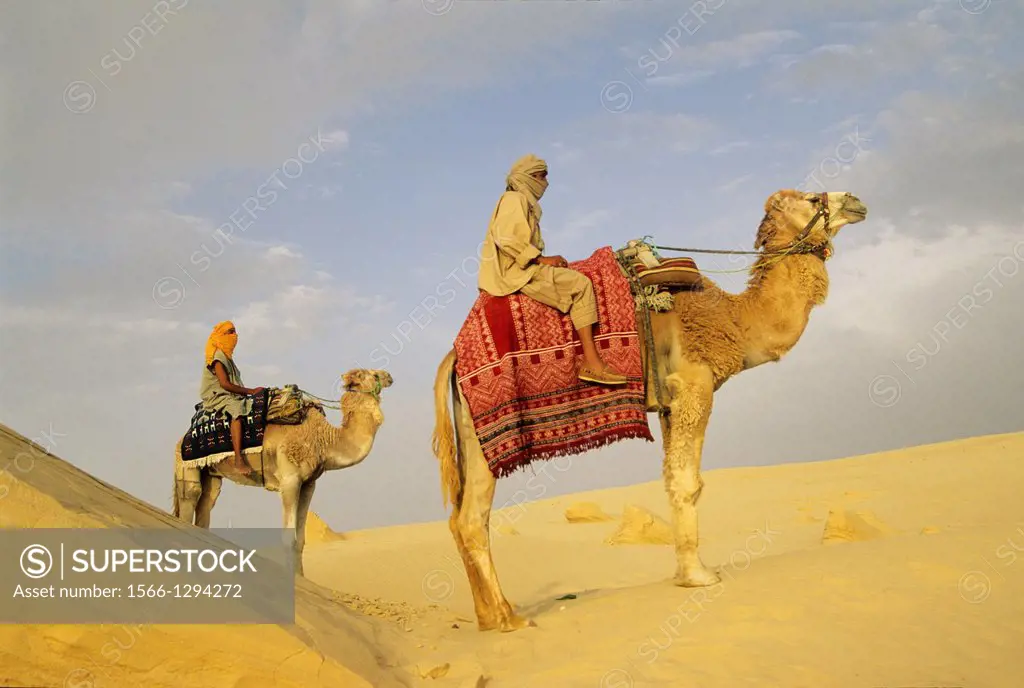 camel drivers and dromadary in Lareguett dunes around Nefta, Tunisia, North Africa.